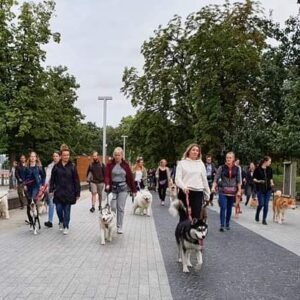 Spacery socjalizacyjne